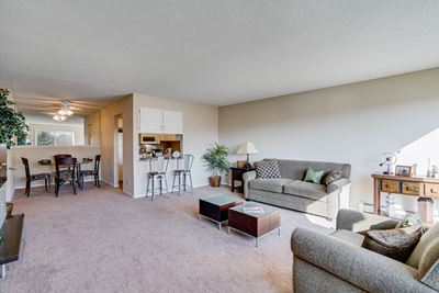 Open-Concept Living & Dining